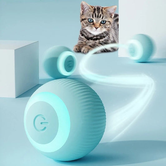 Interaktiv Smart Cat Play Ball